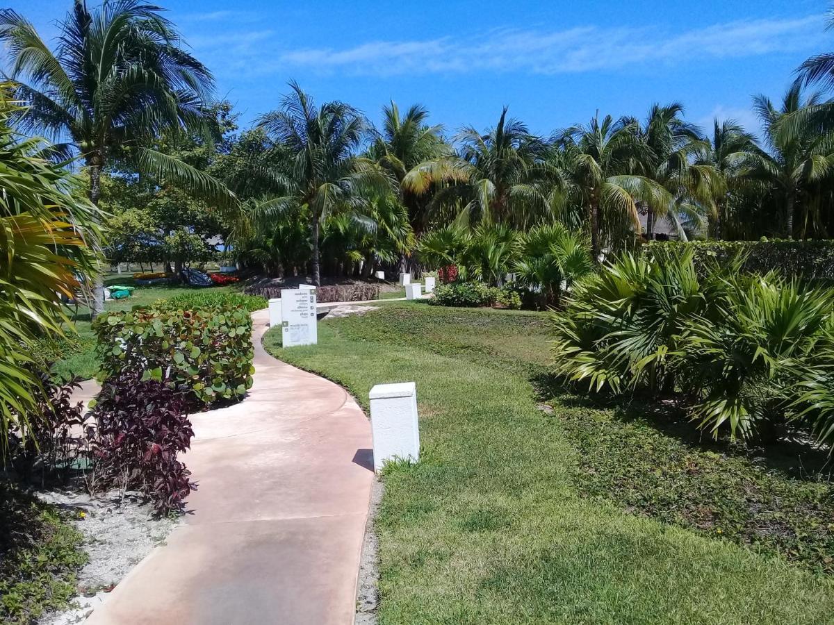Apartamento Swim The Caribbean & Work With A View Cancún Exterior foto