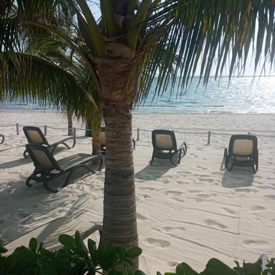 Apartamento Swim The Caribbean & Work With A View Cancún Exterior foto